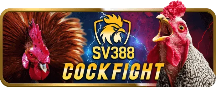 Người dùng đang điền biểu mẫu liên hệ trên i9bet142 link mới
